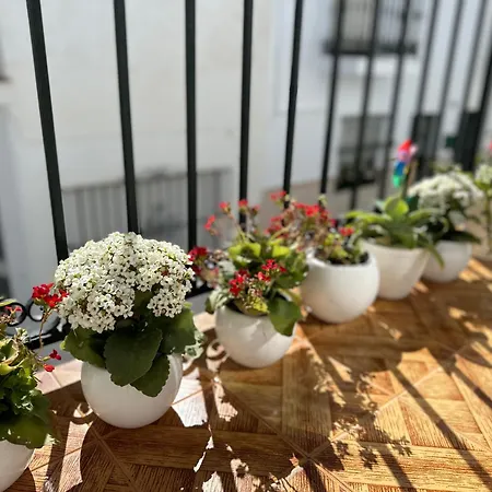 Apartamento Casa Del Mar